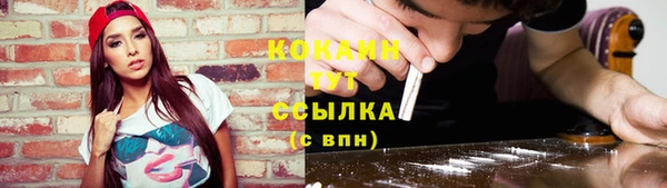 дурь Дмитровск