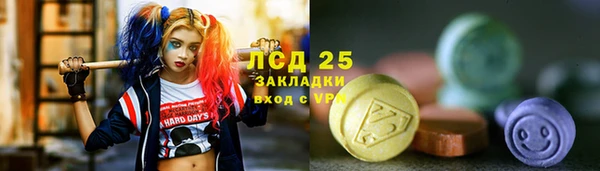 дмт Дмитров