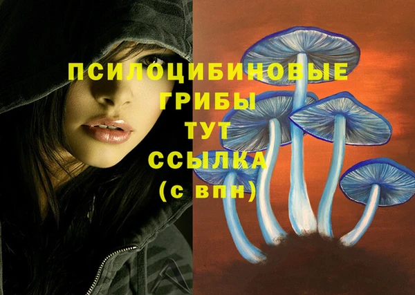 мескалин Медвежьегорск