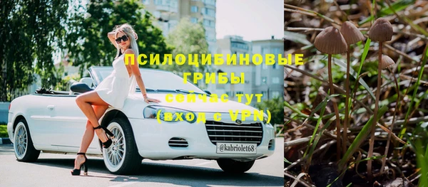 мескалин Медвежьегорск