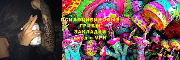 дурь Дмитровск