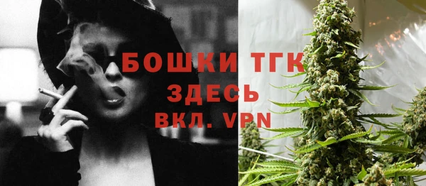 стафф Медногорск