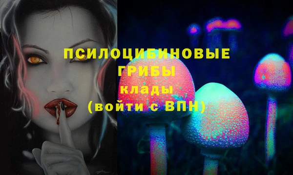 дмт Дмитров