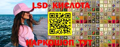 дмт Донской