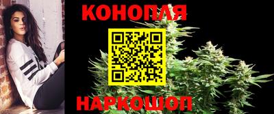дмт Донской