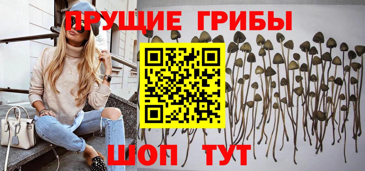Псилоцибиновые грибы мухоморы  Елизово  Галлюциногенные грибы GOLDEN TEACHER 