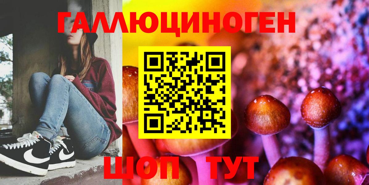Галлюциногенные грибы прущие грибы Елизово