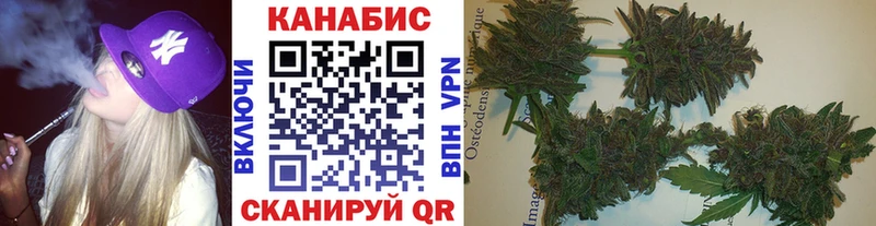 цена Елизово Бошки Шишки OG Kush